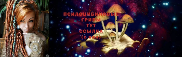 прущие грибы Алексеевка