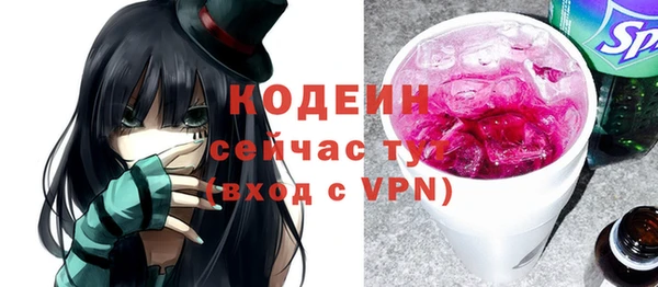 хмурый Семилуки