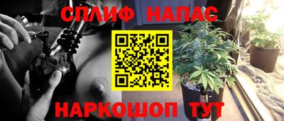 прущие грибы Донецк