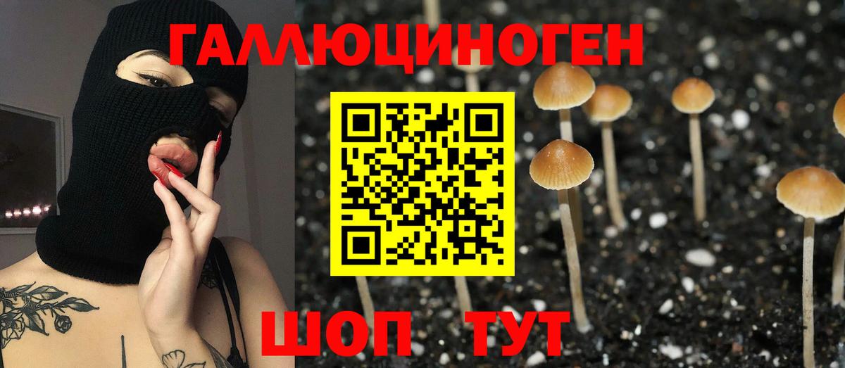Галлюциногенные грибы GOLDEN TEACHER  Вход с VPN  Котлас 
